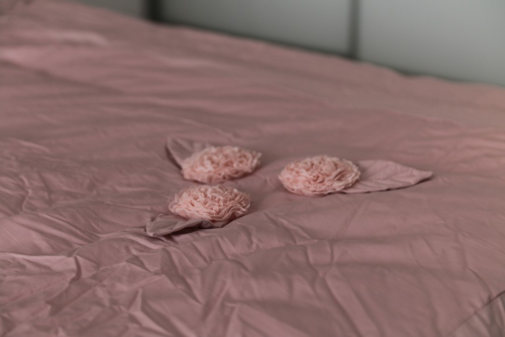 Комплект постельного белья GOCHU (Верди) K розовый