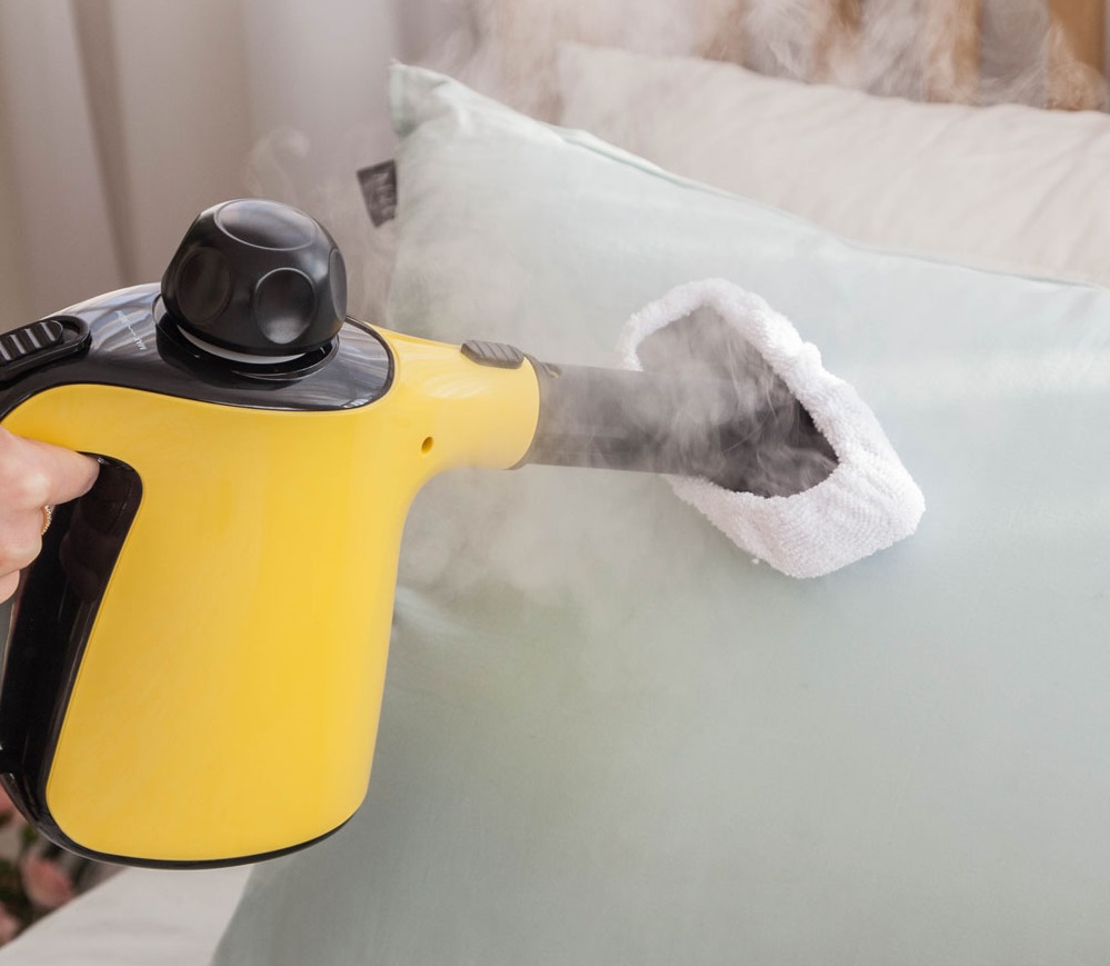 Пароочиститель minihome (мини-дом) TSC-300 от компании "Кореал - Настоящая Корея"