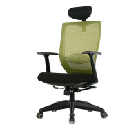 Стул ортопедический чёрно-зелёный ADAM 1111T от компании "Кореал - Настоящая Корея"