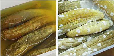 соление огурцов