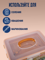 Пищевой контейнер с прессом для засолки HOLD LOCK (ХОЛД ЛОК) (3,4 л.) от компании "Кореал - Настоящая Корея"